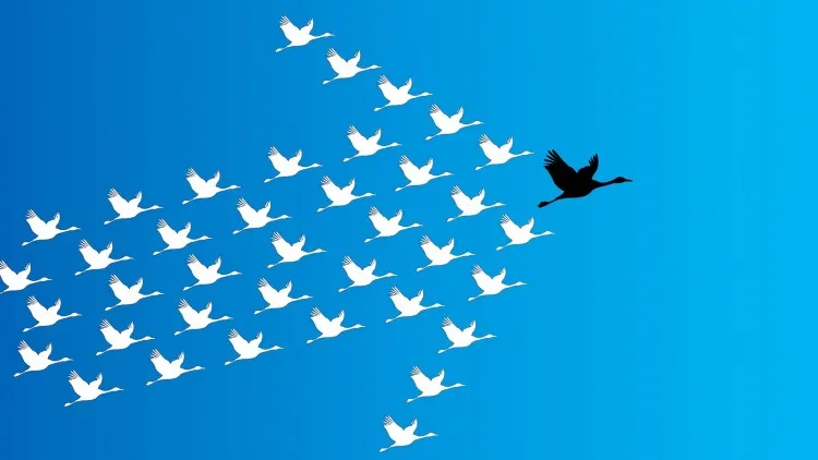 FOTO: Liderlik Özellikleri